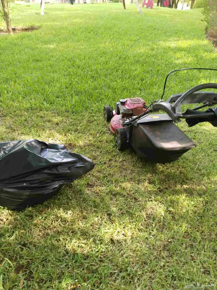 تكريب جميع انواع النخل العربي 1 0