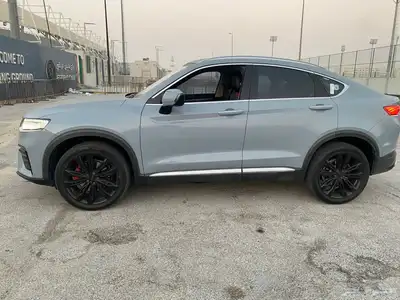 2022 Geely Tugella index