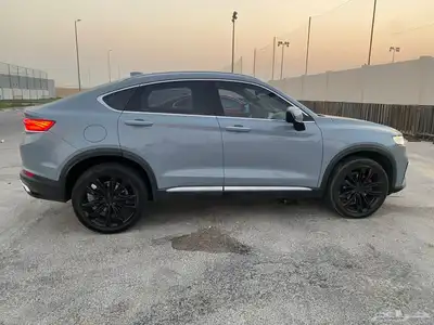2022 Geely Tugella index