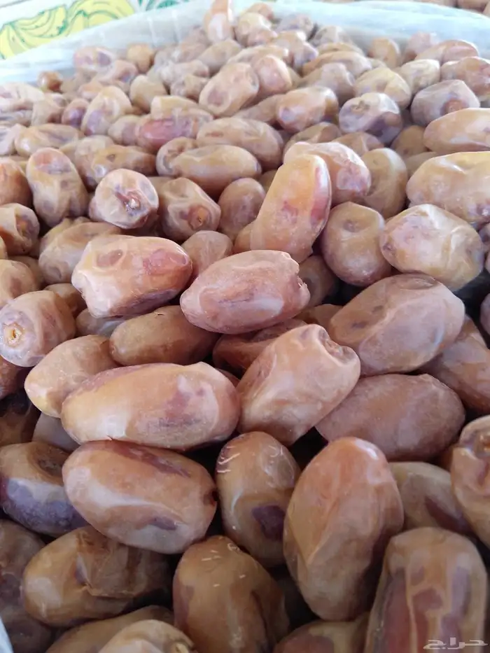 يوجد لدينا تمور فاخره للبيع اخلاص 3