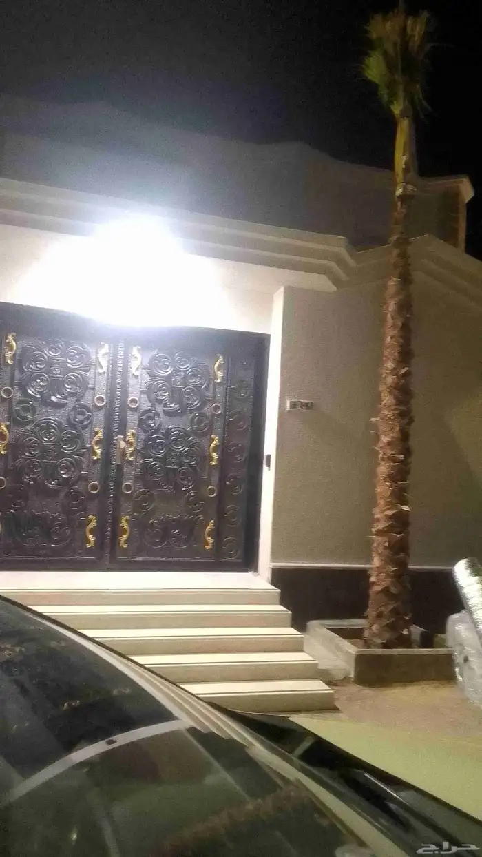 نخل عربي مثمر للبيع ونخل واشنطنيا زينه مروحه حياكم الله 9