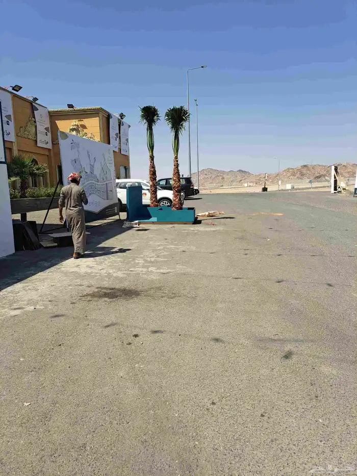 نخل للبيع وشطني وعربي مكه المكرمه جده اطايف 4