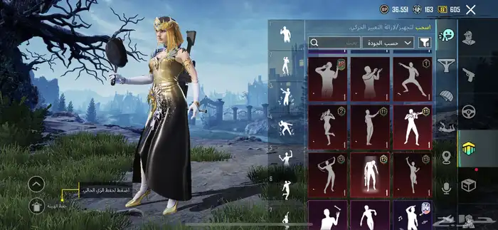 حساب ببجي للبيع 2