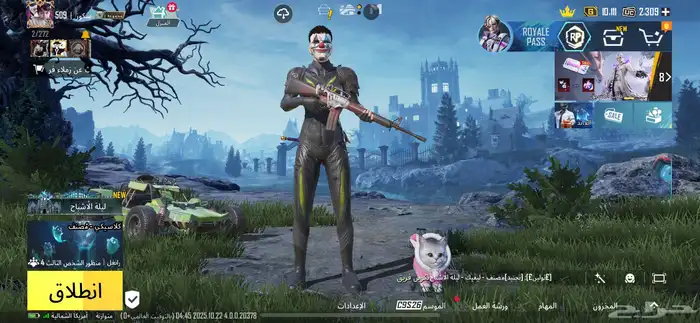 حساب ببجي للبيعع 4