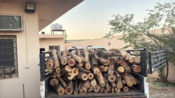 حافظة نضيف وتواصيل الرياض وغيرها سمر شرط ويابس شلايخ مبروم 3