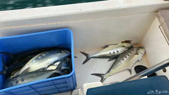 رحلات بحرية صيد  نزهة  سباحة  زيارة جزر 4