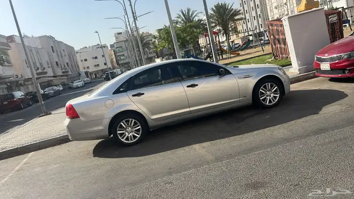 كابرس ال اس بودي بلد 0
