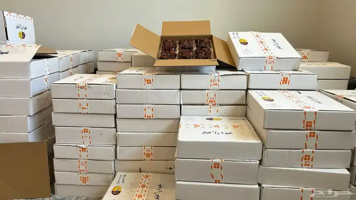 الدمام والخبر 5