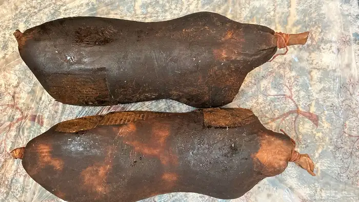 الدمام والخبر 2