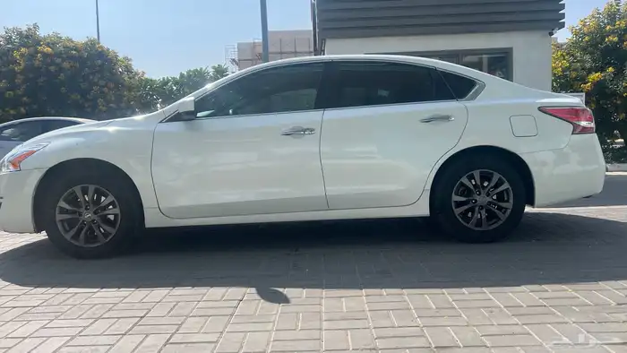 التيما للبيع 2016 1