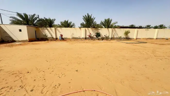 استراحة بحي المعلمين 10