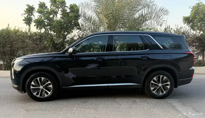 باليسيد 2020 (وارد المجدوعي) 2