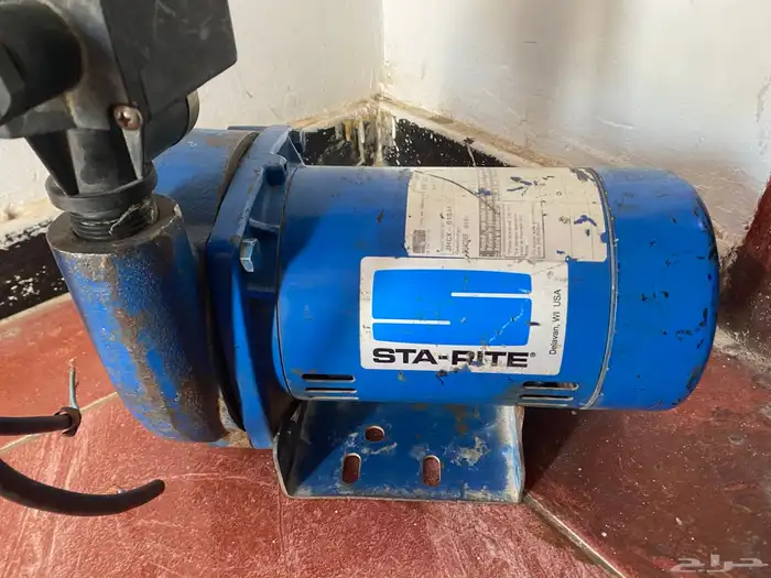 دينمو سمنان 1