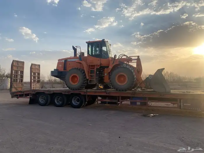 لوبد في الرياض 0