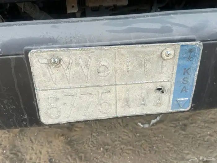 دينا ايسيزو 2002 4