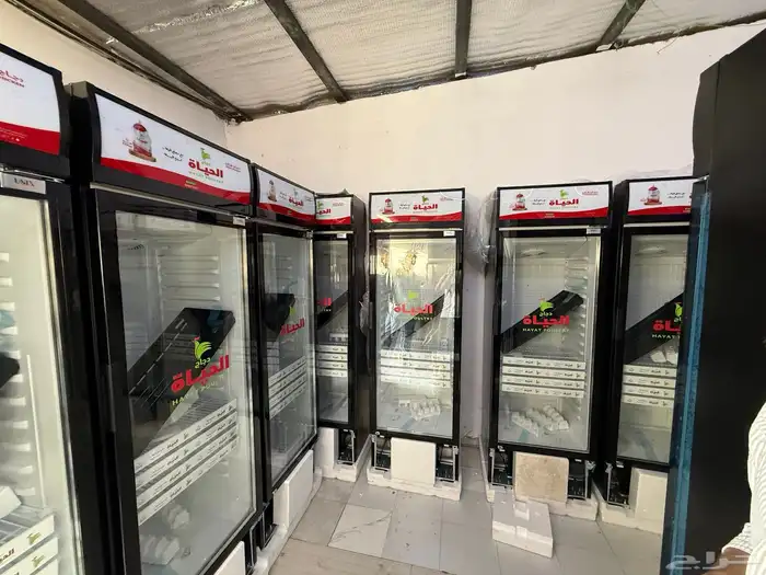 خطاط حروف زنكور واكريلك واستيكر سيارات 6