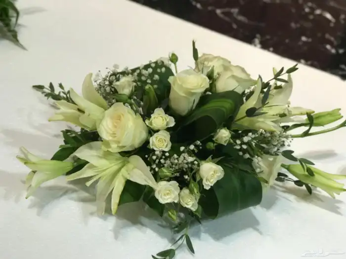 فازات طاوله 1