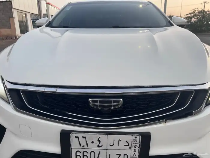 جيلي بينراي 2020 4