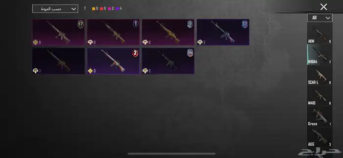 حساب ببجي 22