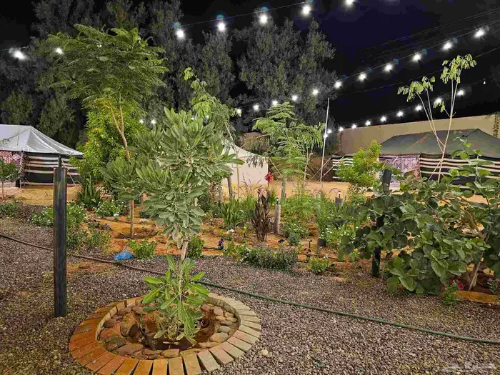 مخيم للايجار المزاحميه (تبراك) 10