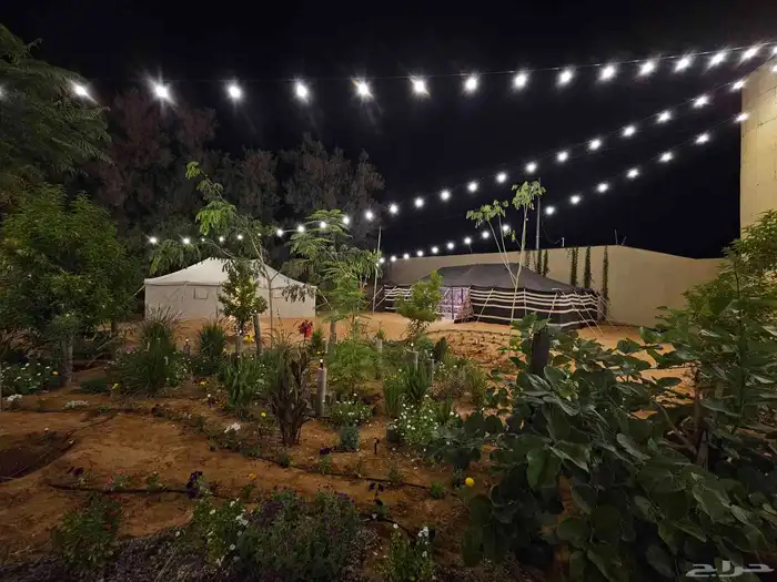 مخيم للايجار المزاحميه (تبراك) 27