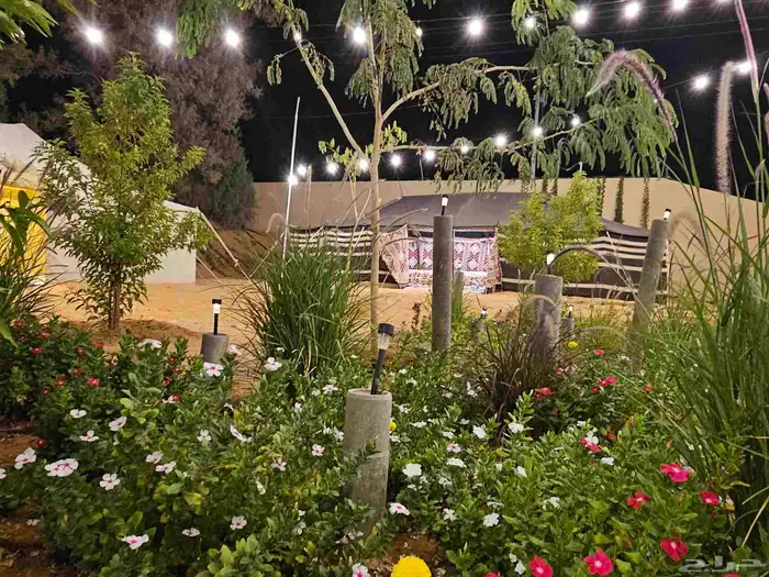 مخيم للايجار المزاحميه (تبراك) 23