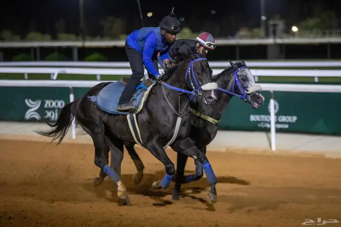 خيال مشغل خيل في منطقة القصيم محتاج شقول 0