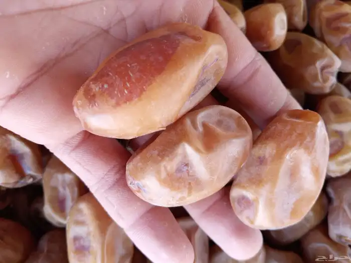 يوجد لدينا تمور فاخره للبيع اخلاص 4