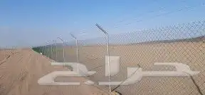 مقاول شبوك ونخيل 8