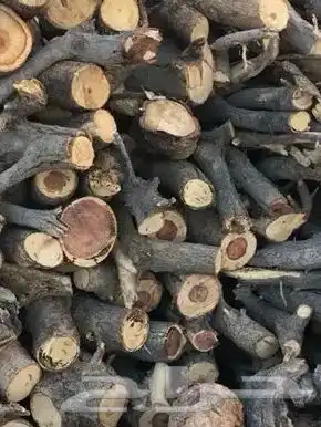 ح ط ب لوحه طلح مسح صندوق غمرتين ب 1200 0