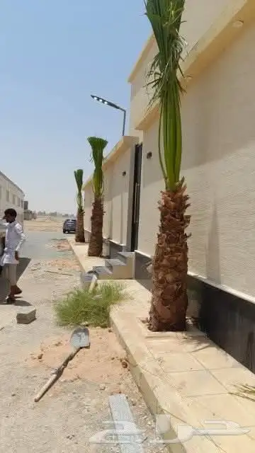 صاحب نخيل 4