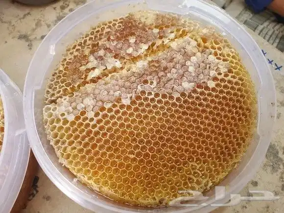 عسل شمع سدر 1