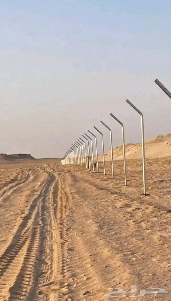 توريد وزراعه نخيل واشنطني وعربي وتوريد وتركيب الشبوك 1