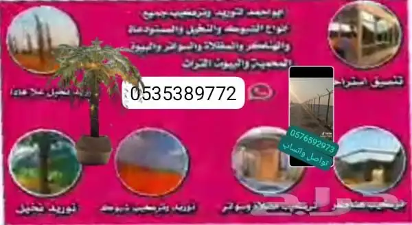 مقاول جميع انواع الشبوك وأعمال النخيل والبيوت التراثيه من ا 0