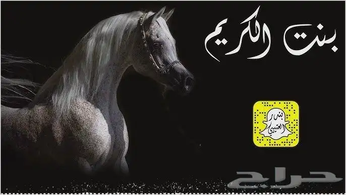 استديو تنفيذ شيلات زفات بالاسماء جميع المناسبات 2