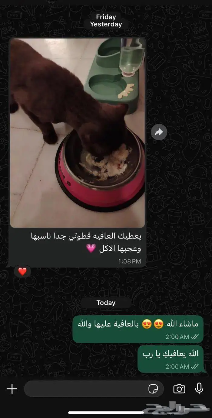 وجبات اكل قطط كيتنز صغيره وكبيره صحية وطازجة 2