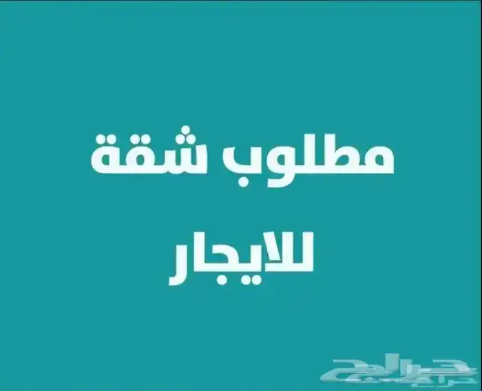 ابحث عن شقة صغيره 0