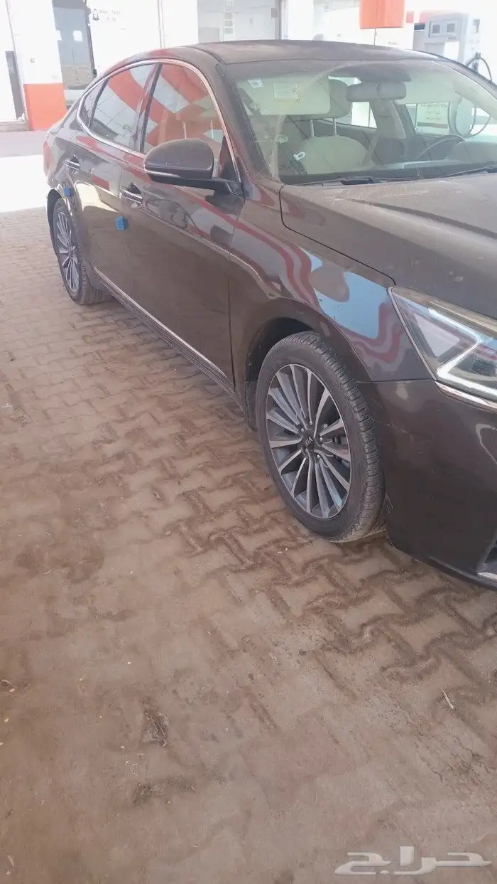 كادينزا 2019 4
