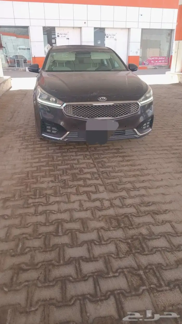 كادينزا 2019 0