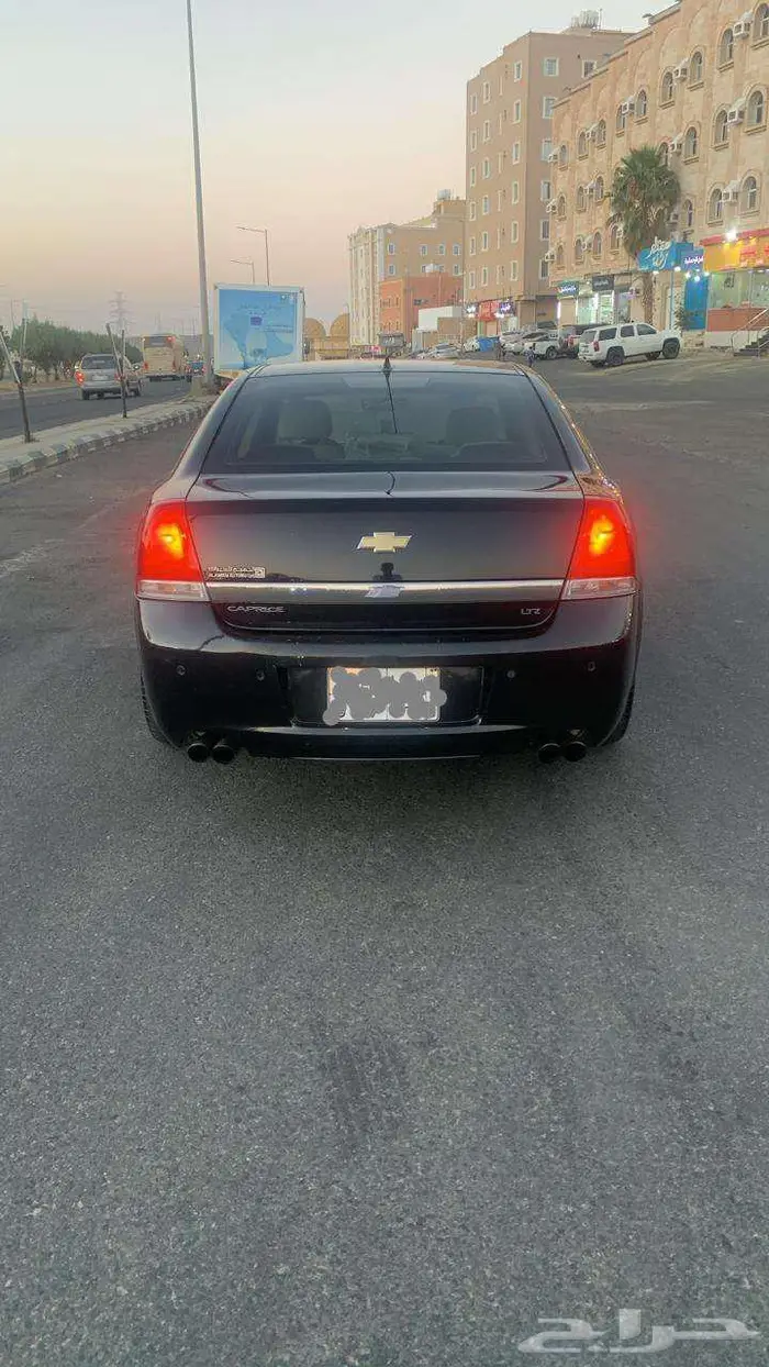 كابرس اسود 2013 15