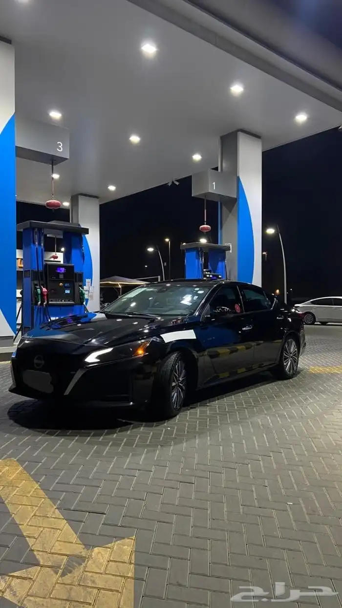 للتقبيل التيما نص فل 2024 1