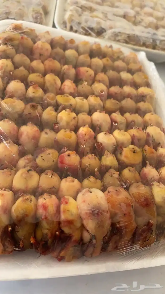 طيور دخل صيد الموسم 3