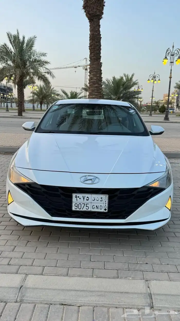النترا 2021 ممشى 116 5