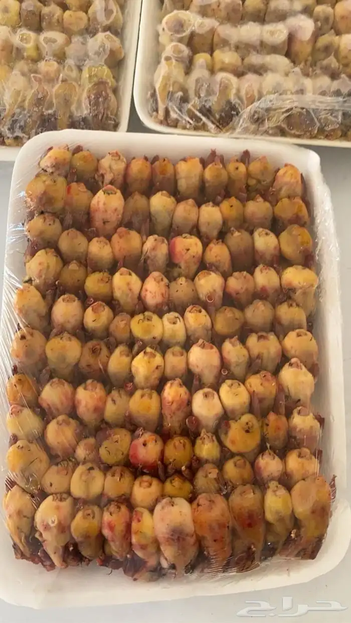 طيور دخل صيد الموسم 1