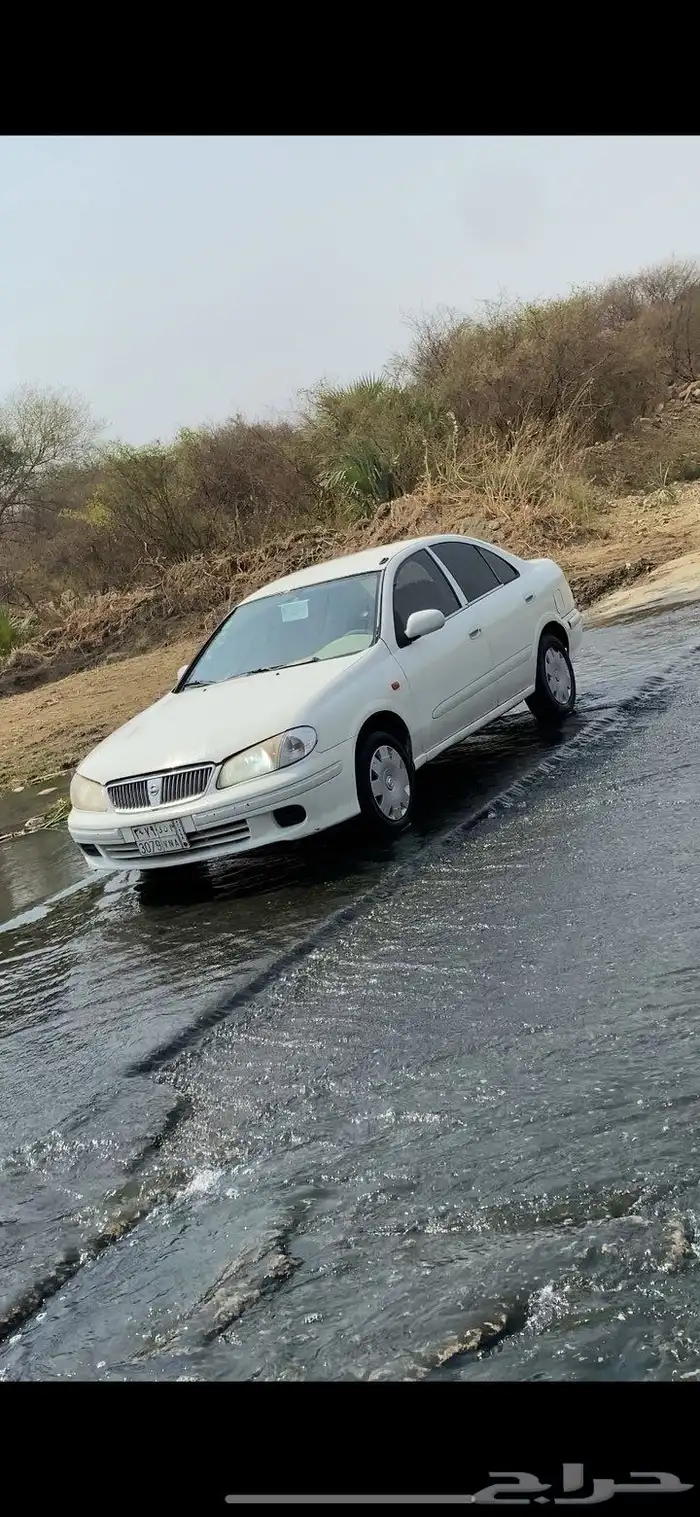 صني2003 7