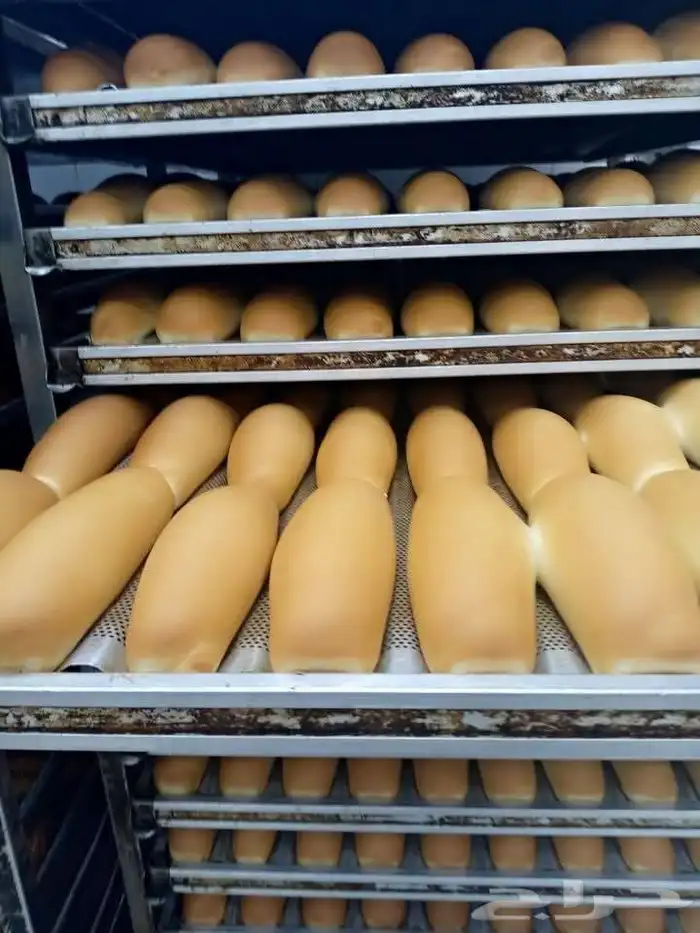 مطلوب مخبز لا ايجار او بالنسبة يكون في جدة او مكة بكامل عدتة 1