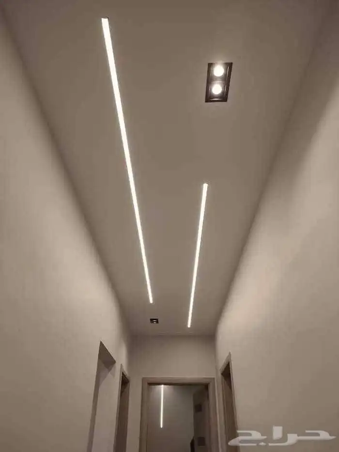 معلم دي وارت جبس 14