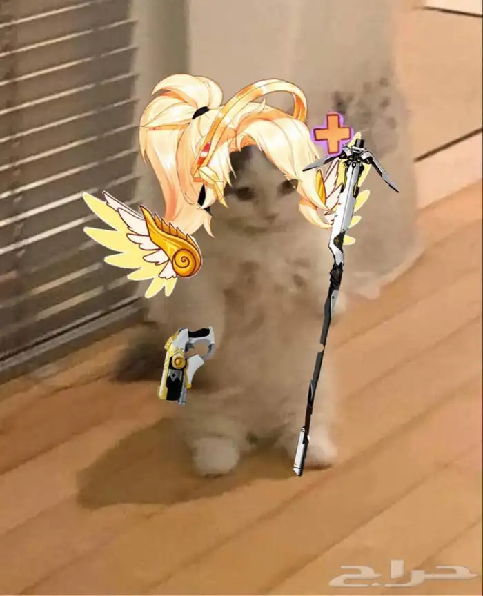 mercy هيل بوكيت 0