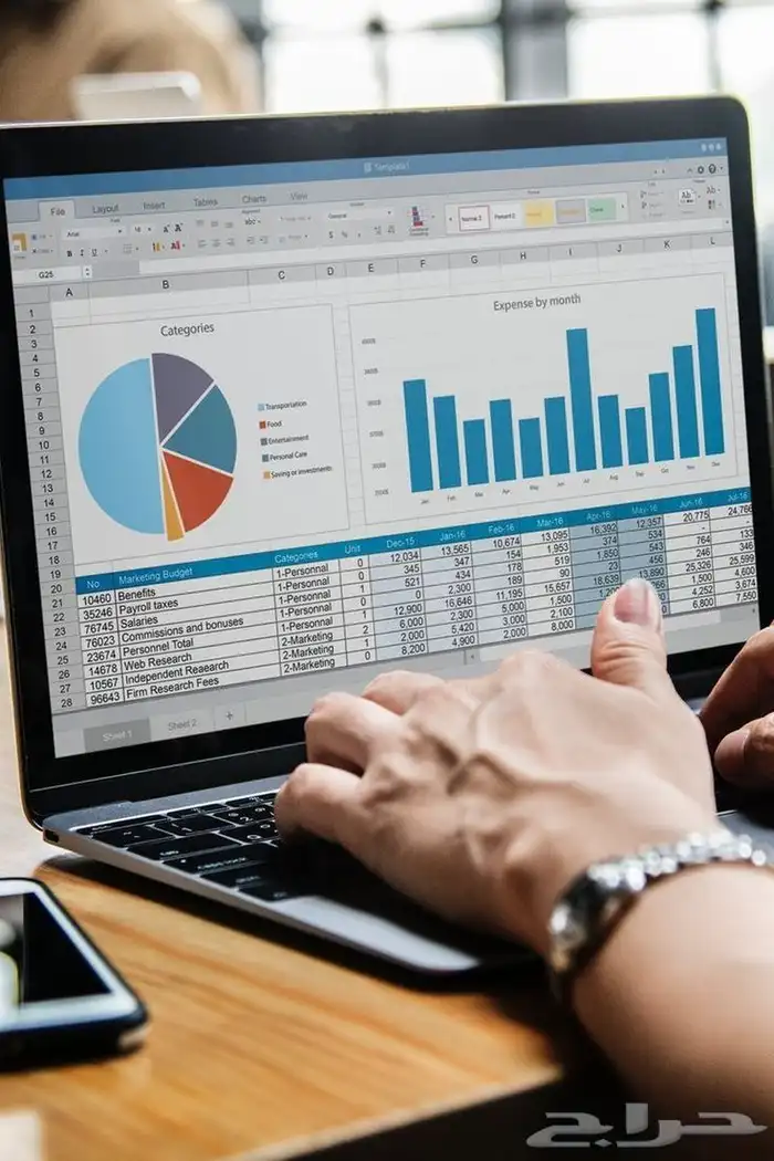 دراسة جدوى احترافية لمشروعك خلال ساعتين فقط 0