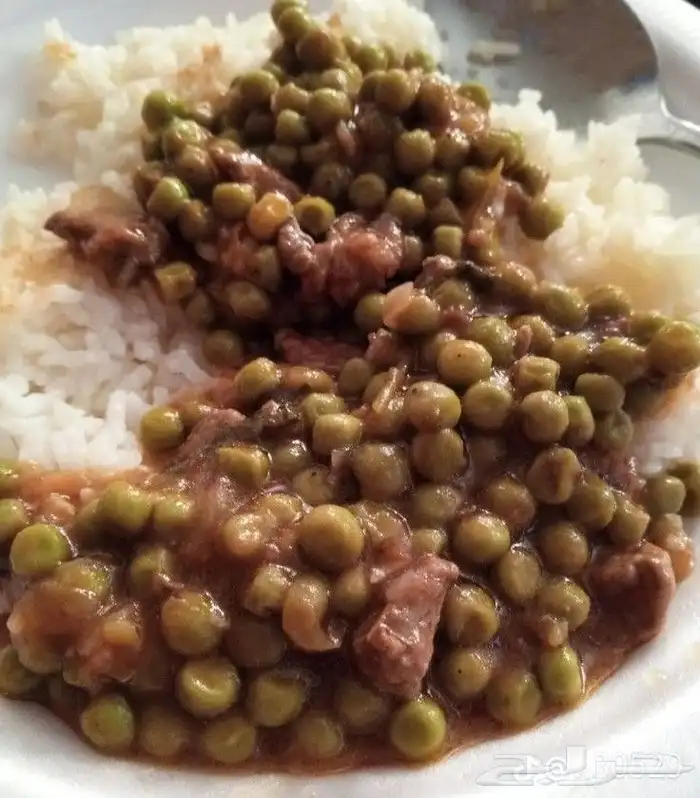 إيدامات ام فيصل جدة 8